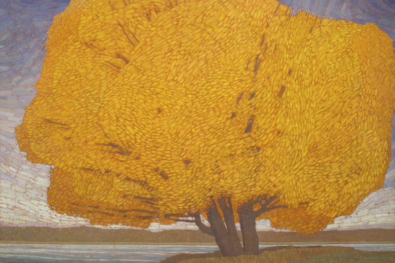David Grossmann, In Motion