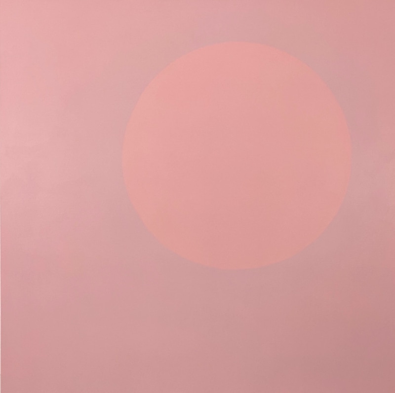 David Michael Slonim, Endless Summer