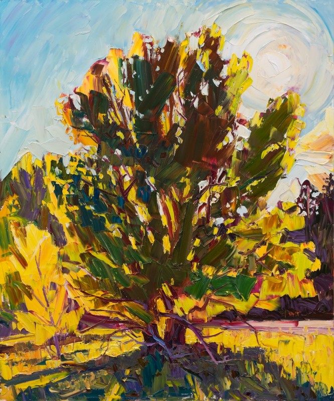 Jivan Lee | By the Wayside