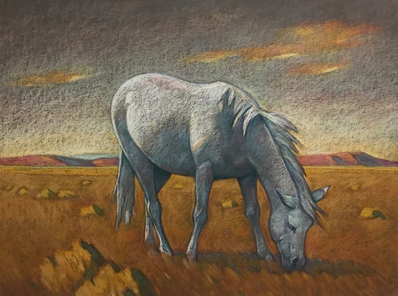 Howard Post, White Pony