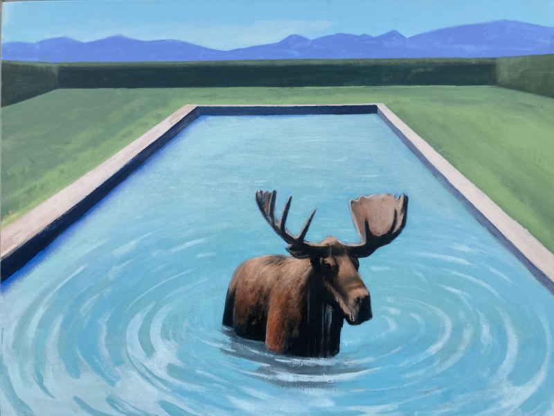 Travis Walker, Moose in a Pool (After Hockney)