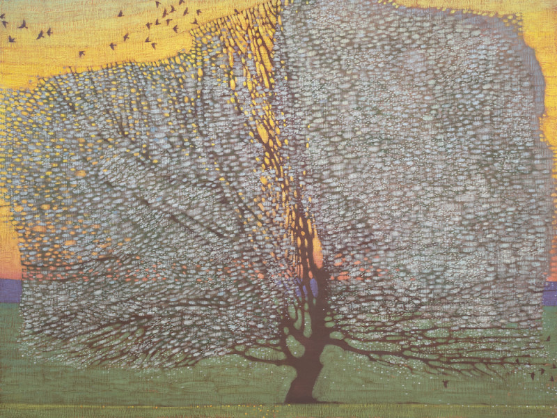 David Grossmann, Spring Apple Tree