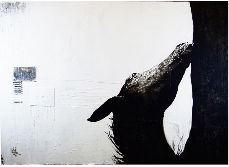 Ashley Collins, Perspective