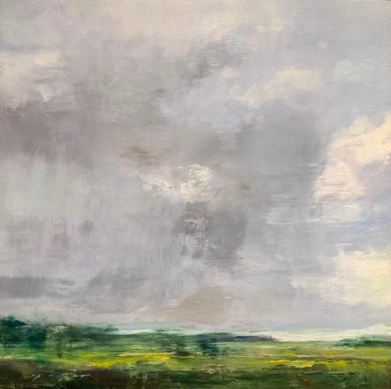 Douglas Fryer - Rain Cloud Over Chamisa