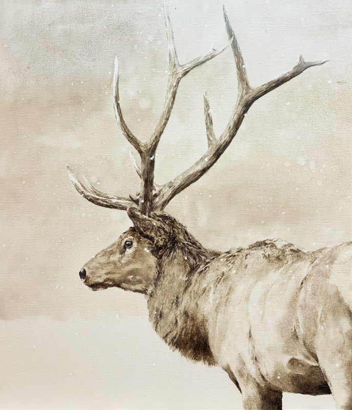 September Vhay, Wapiti Wonder