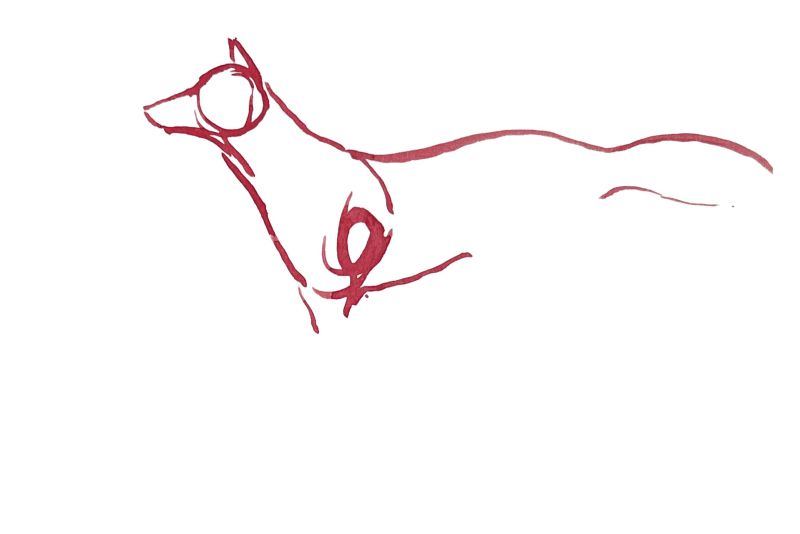 Red Horses by September Vhay, Red Fox 1