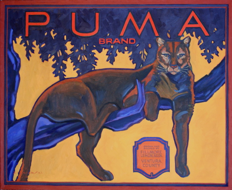 Dennis Ziemienski, Puma Brand