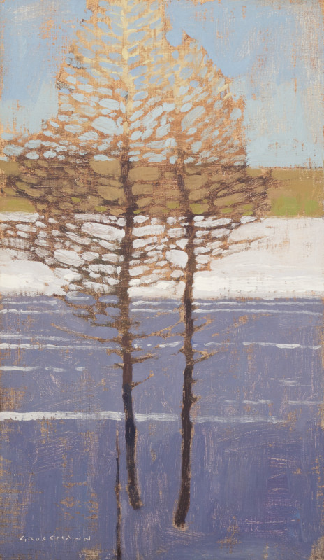 David Grossmann, Lines on Snow
