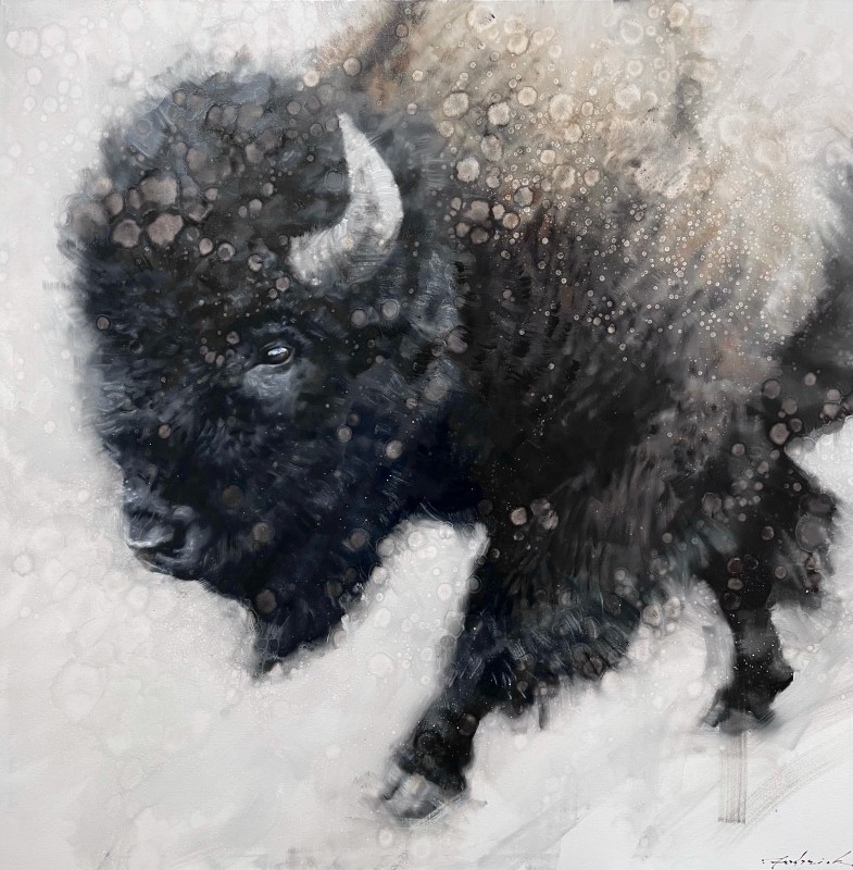 David Frederick Riley, Steady