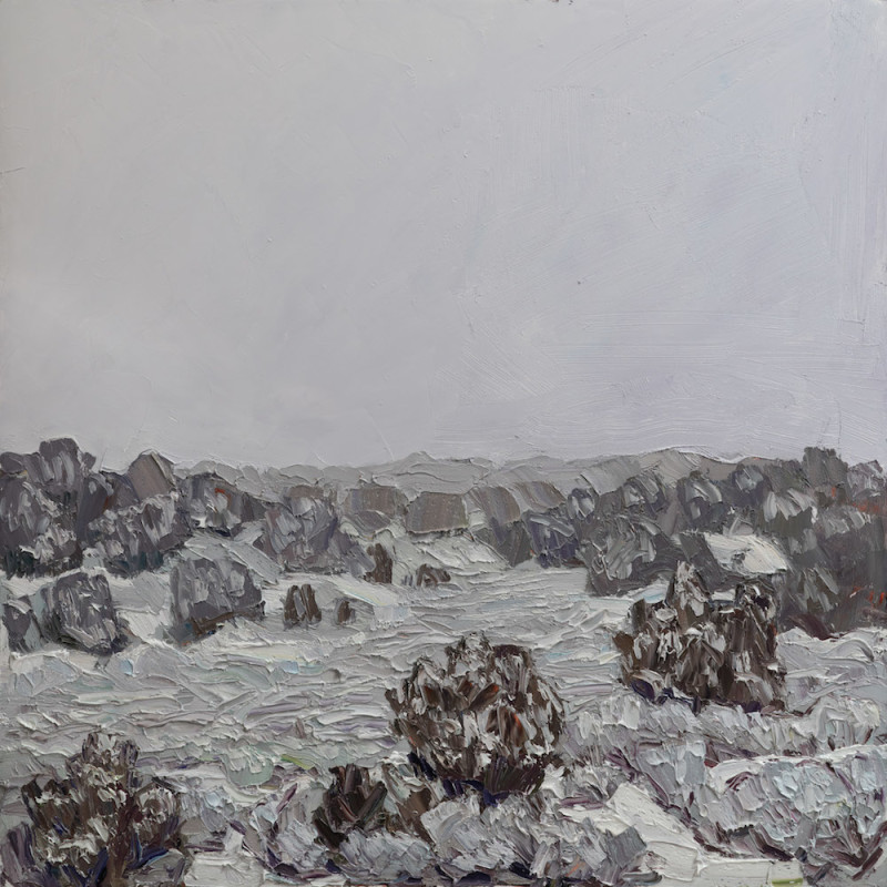Jivan Lee, A Sea of Snow on Juniper and Sage