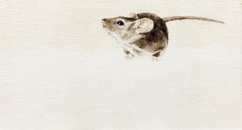 September Vhay, Whiskers