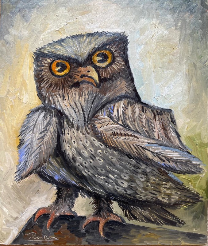 Erik Renssen, Size M | Little Owl, 2025