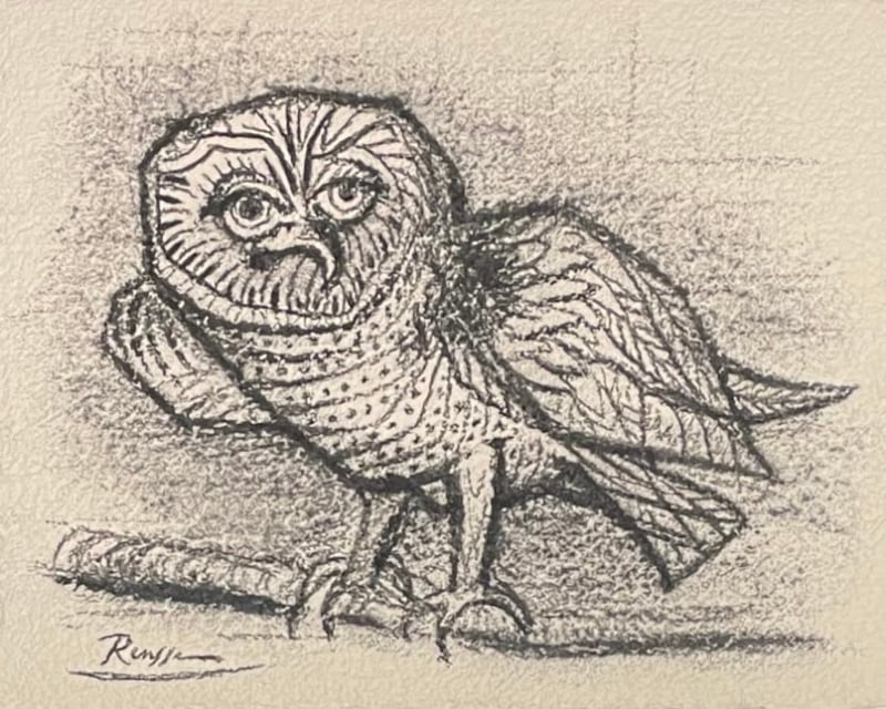 Erik Renssen, Size S | Owl, 2022