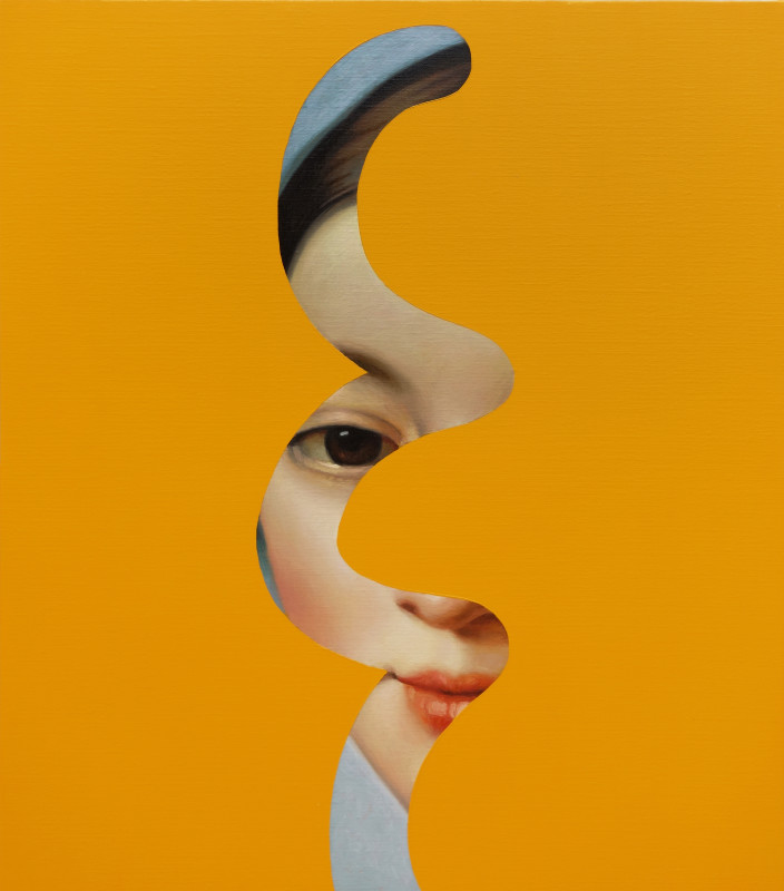 Lino Lago, Fake Abstract (Ingres), 2020