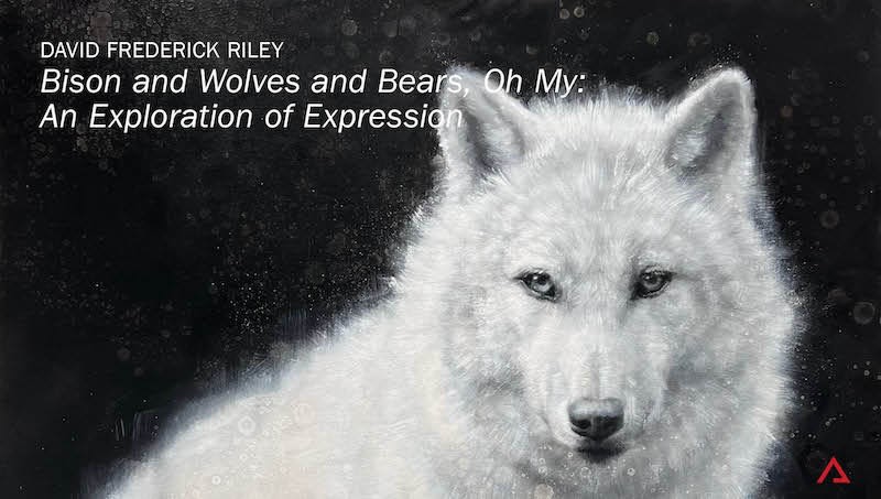 David Frederick Riley, 'Bison and Wolves and Bears, Oh My: An Exploration of Expression', Watch Video