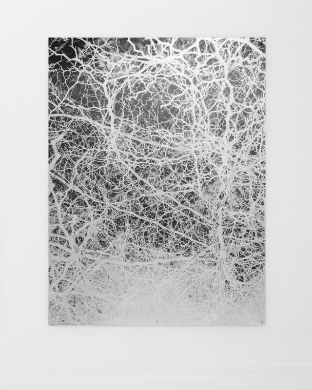 Sybren Vanoverberghe