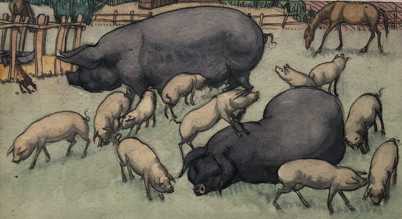 Cicely Hey, Pigs, c. 1922