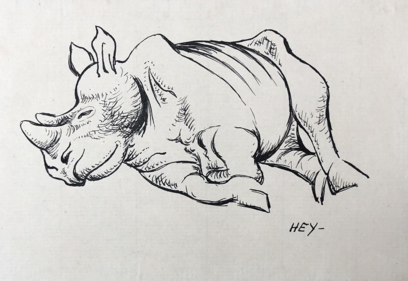 Cicely Hey, Rhinoceros , c. 1922
