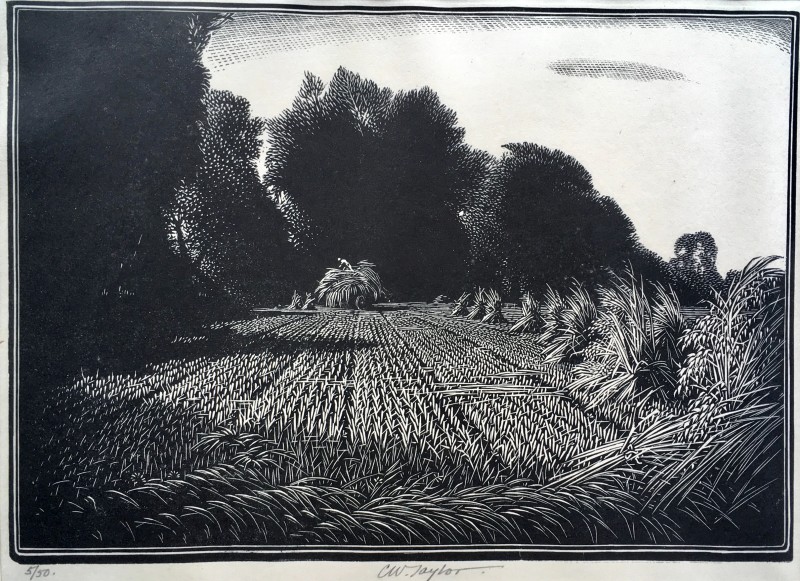 CHARLES WILLIAM TAYLOR (1878-1960)Harvesting, c. 1930