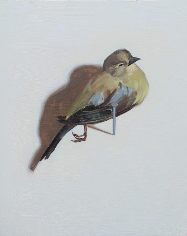 Catherine Kurtz Works The Redfern Gallery