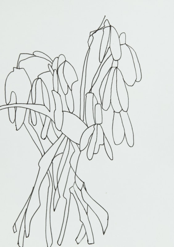 <span class=%22title%22>Winter Snowdrop<span class=%22title_comma%22>, </span></span><span class=%22year%22>2022</span>