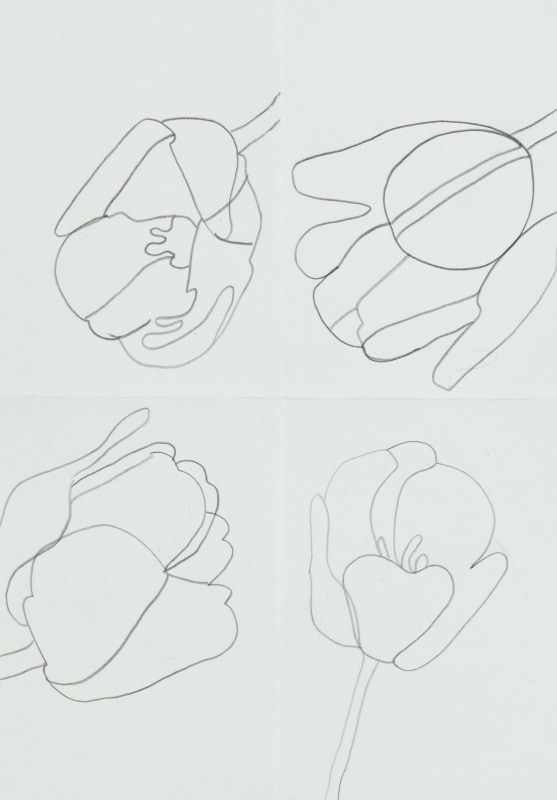 <span class=%22title%22>Tulip Studies 2023<span class=%22title_comma%22>, </span></span><span class=%22year%22>2023</span>