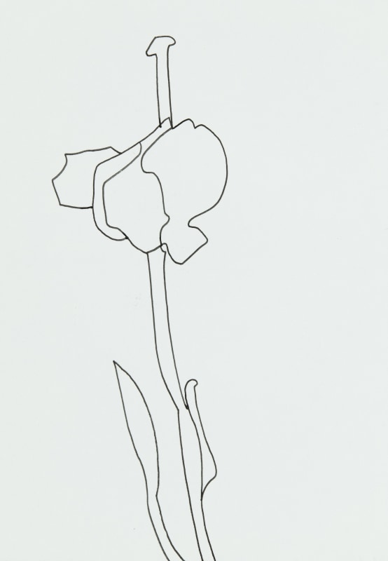<span class=%22title%22>Last of the Tulips 2 2022<span class=%22title_comma%22>, </span></span><span class=%22year%22>2022</span>