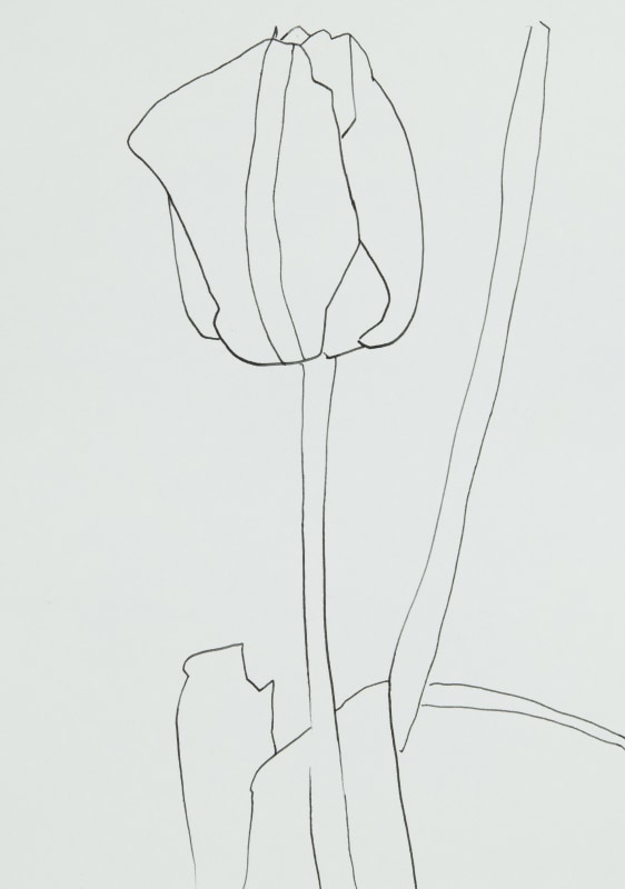 <span class=%22title%22>Early Tulip 2023<span class=%22title_comma%22>, </span></span><span class=%22year%22>2023</span>
