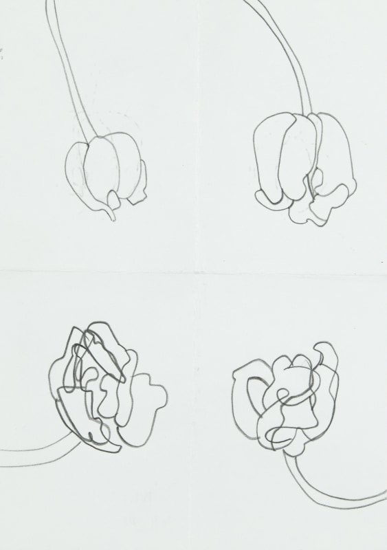 <span class=%22title%22>Last Tulip 2023<span class=%22title_comma%22>, </span></span><span class=%22year%22>2023</span>