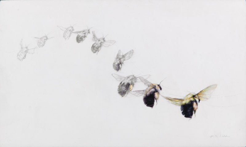 <span class=%22title%22>Study in Flight<span class=%22title_comma%22>, </span></span><span class=%22year%22>2025</span>