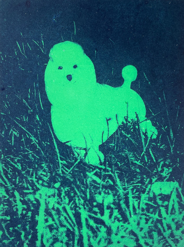 Sharon Baker Martin's Poodle (Green)