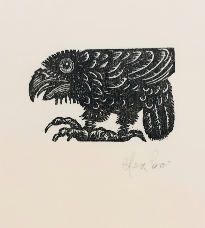 Brendan Hansbro Raven