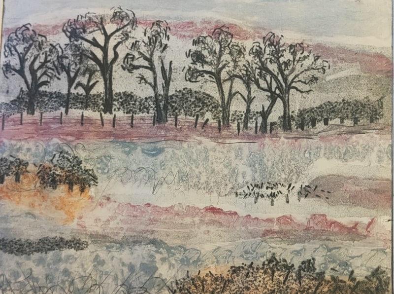 Heidi Mehta Woodland Walk