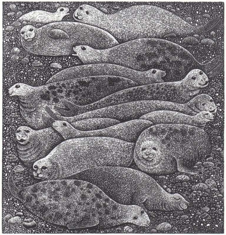 Hilary Paynter Seals