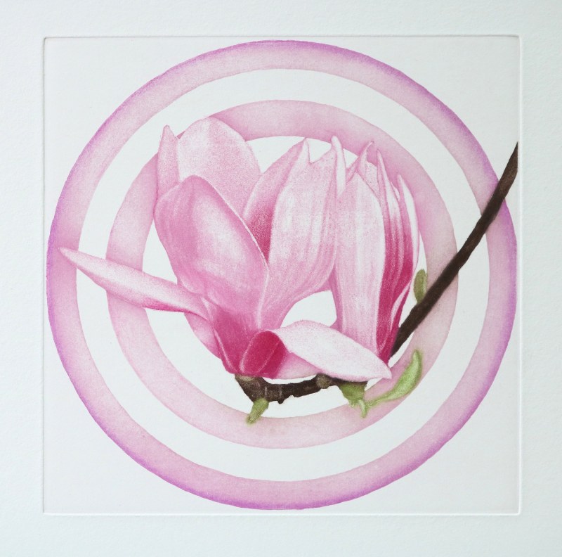 Emiko Aida Magnolia Light 2