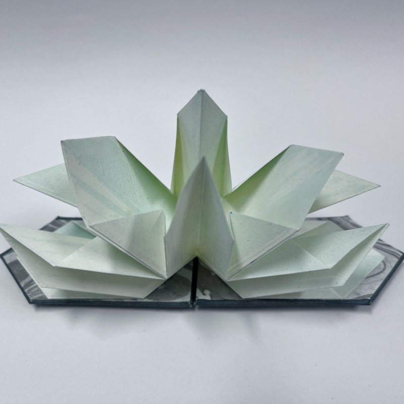 E Anderson Geode Opens