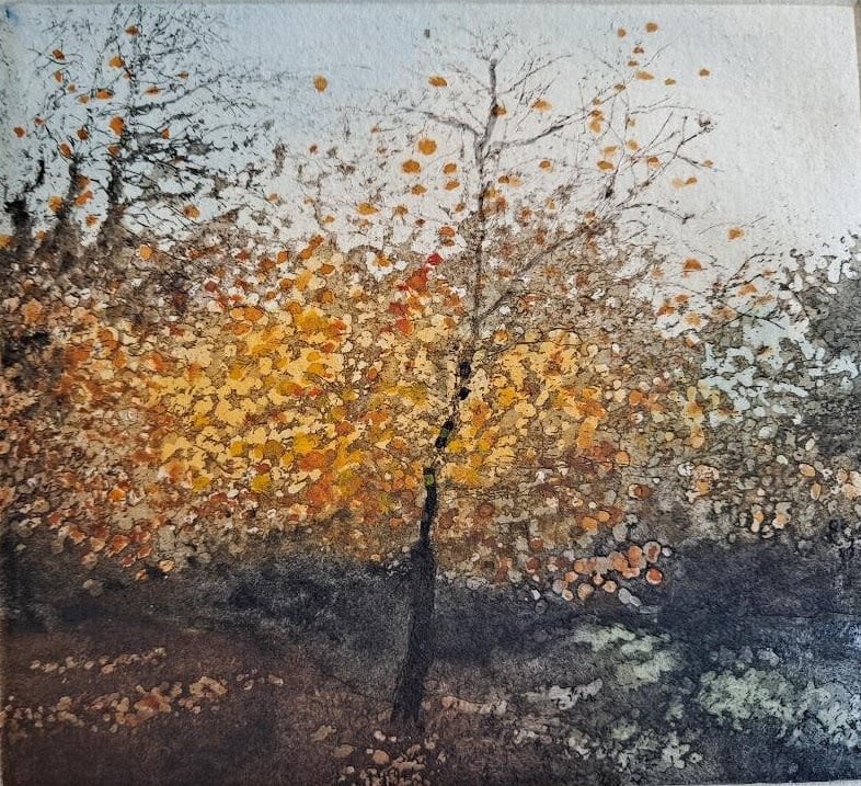 Jo Barry Warmth of Early Morning