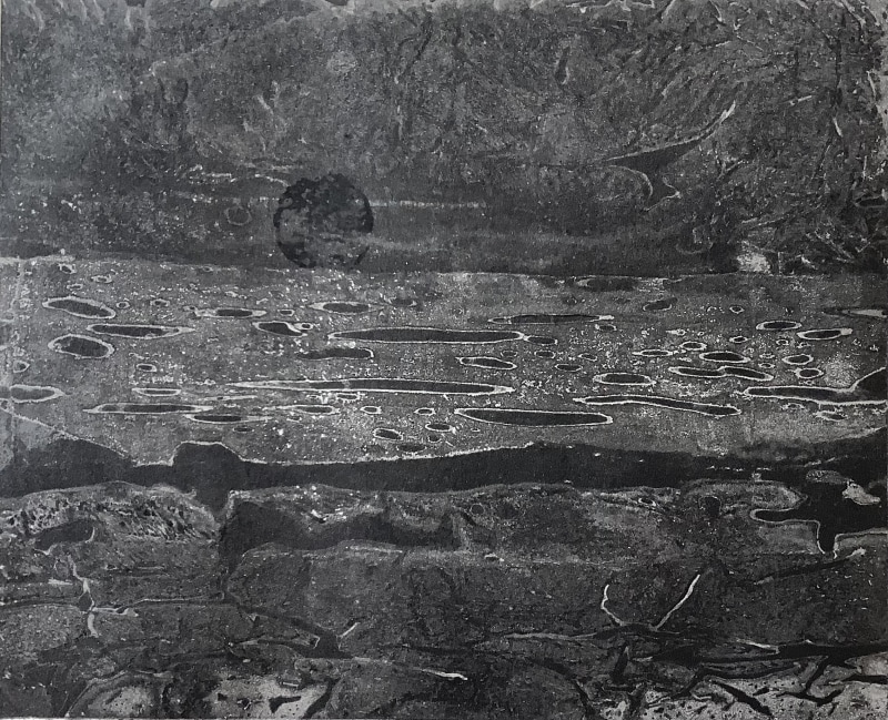 Ray Bass Estuary: Another World