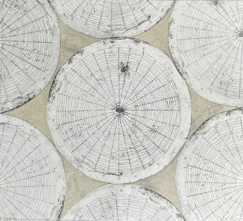Fiona Binney Cobwebs