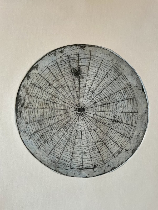Fiona Binney Spider's Web