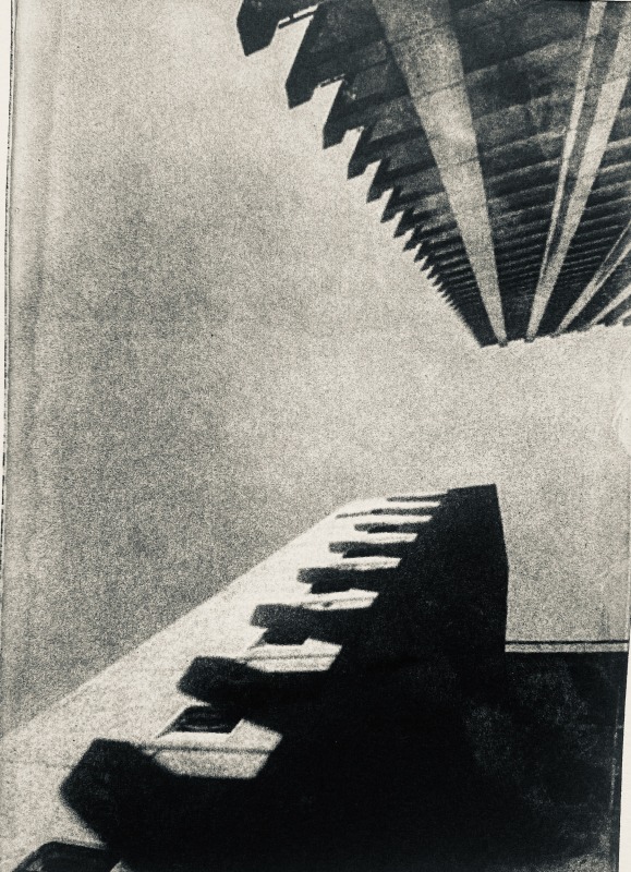 Yvette Blumberg Shadows Rising