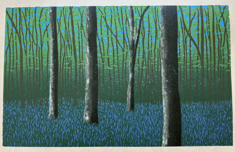 Jo Boddy Bluebell Forest