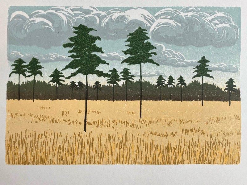 Jo Boddy Winter Grasses