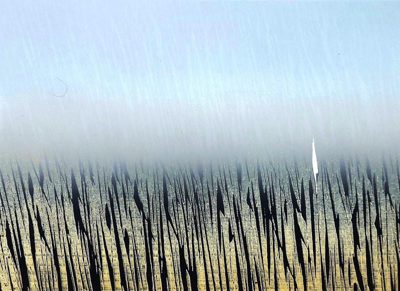 Merlyn ChestermanMorning Mist