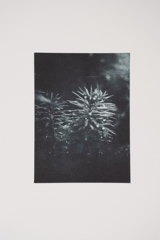 Angela Crosti Rain Drops