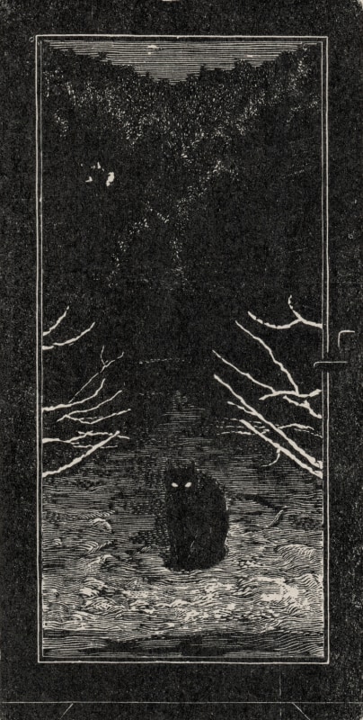 Lydia Lander Cat in the Snow