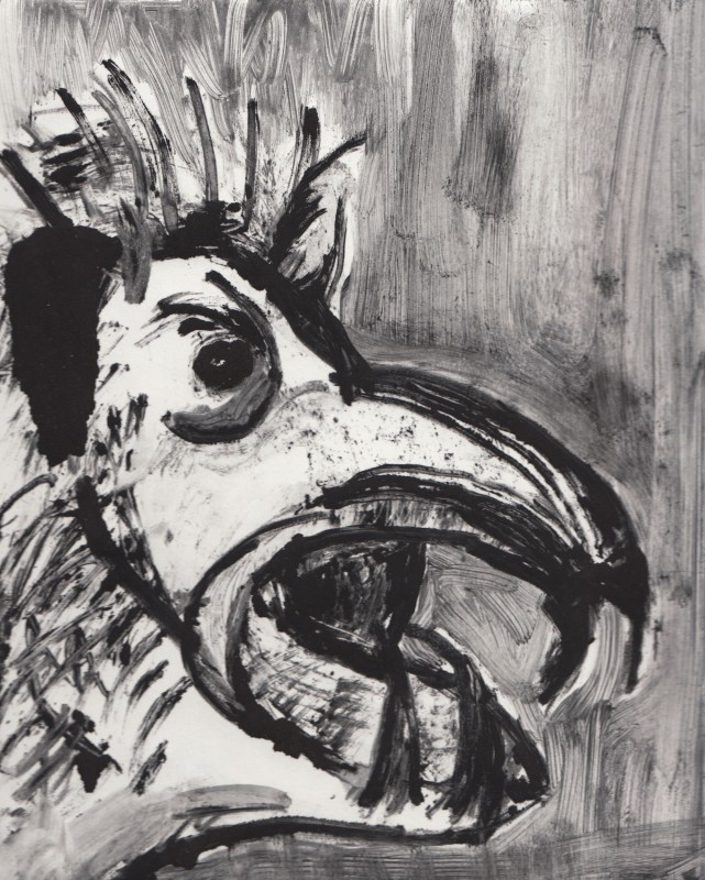 Anna McHugh Animal