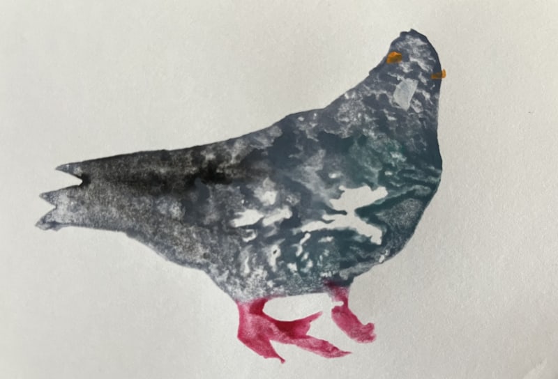Sally Muir Pigeon