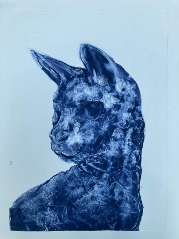 Chris Salmon Blue Cat