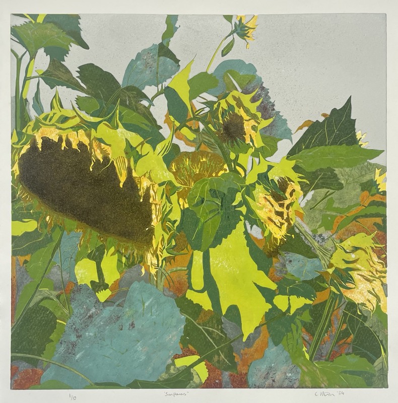 Charlotte Staunton Sunflowers